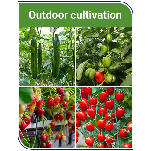 Outdoor cultivation